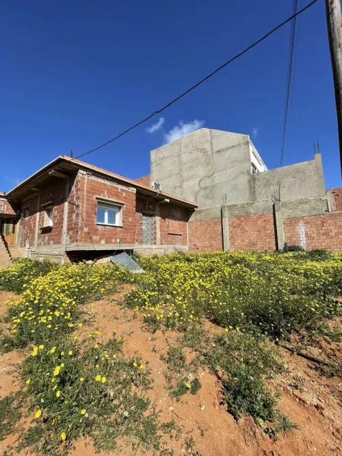 Vente Terrain Mostaganem Sayada