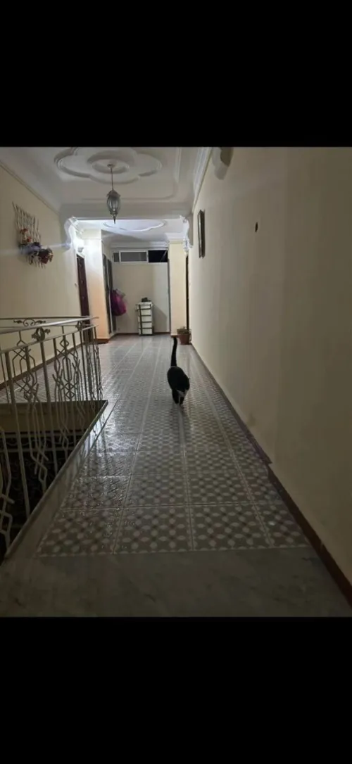 Vente Appartement F5 Alger Bouzareah