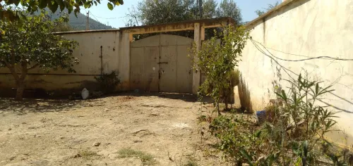 Vente Villa Blida Bouinan