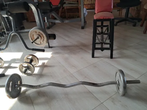 Musculation 