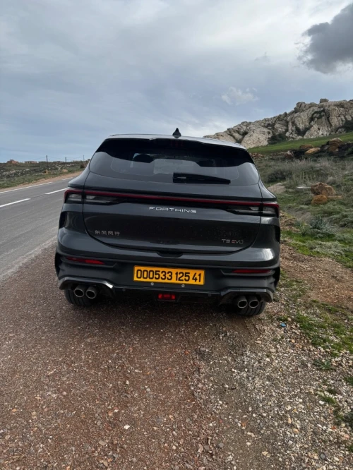 DF Joyear  Forthing 2025 T5evo