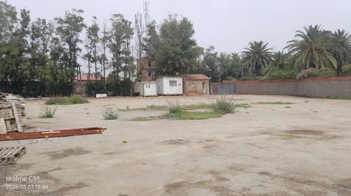 Location Hangar - Usine Alger Souidania