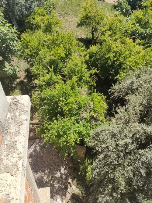 Vente Terrain Tizi Ouzou Azazga