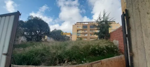 Vente Terrain Alger Cheraga