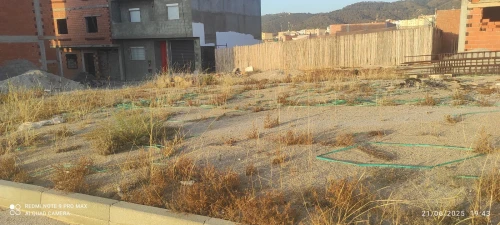 Vente Terrain Tlemcen Nedroma