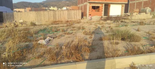 Vente Terrain Tlemcen Nedroma