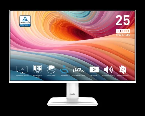 ECRAN MSI PRO MP251W E2 25'' 1MS 120HZ IPS 