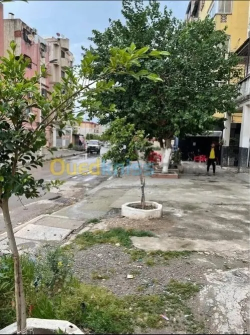 Vente Local Annaba Annaba