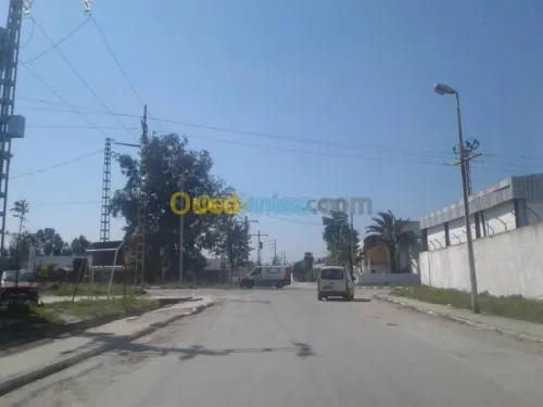 Location Hangar Annaba Annaba