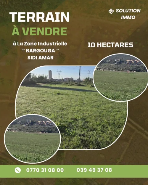 Vente Terrain Annaba Sidi Amar