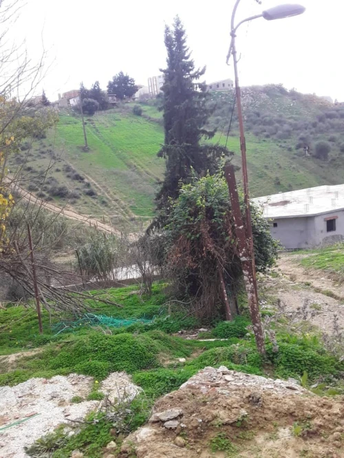 Vente Terrain Alger Mahelma