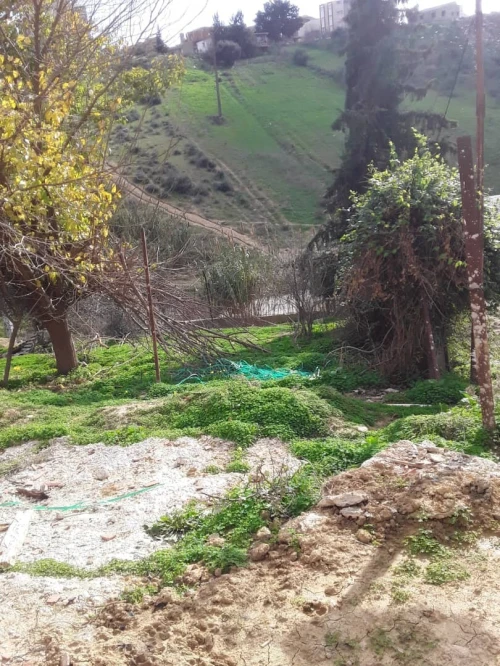 Vente Terrain Alger Mahelma