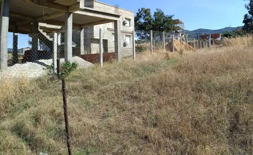 Vente Terrain Skikda Filfla