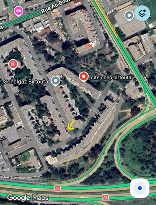 Location Local Alger Birtouta