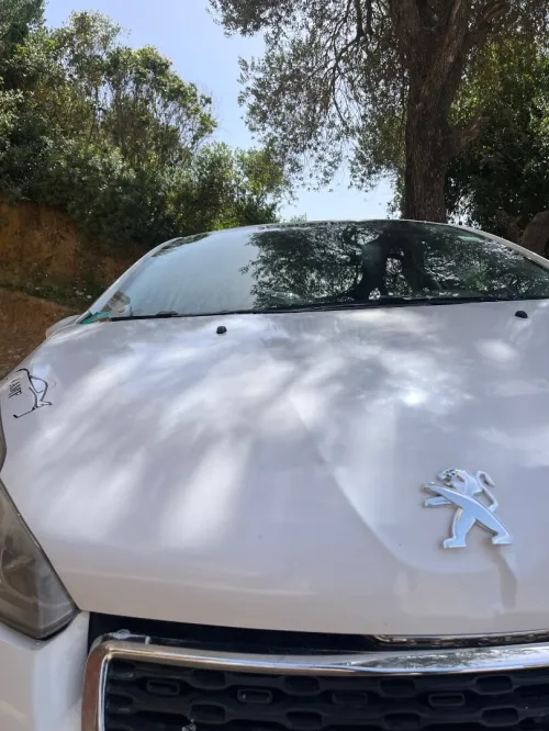 Peugeot 208 2013 Active