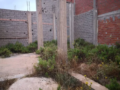 Vente Terrain Tlemcen Nedroma