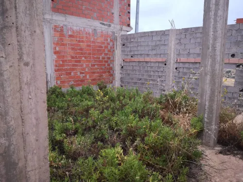 Vente Terrain Tlemcen Nedroma