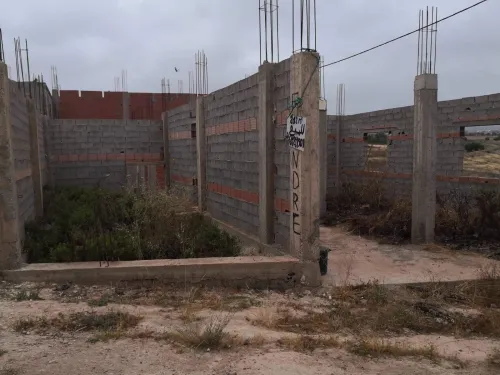 Vente Terrain Tlemcen Nedroma