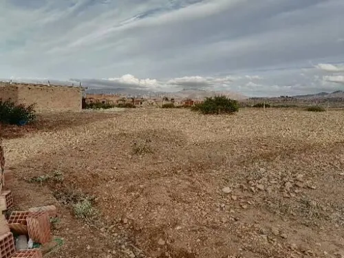 Vente Terrain Tlemcen Sidi medjahed