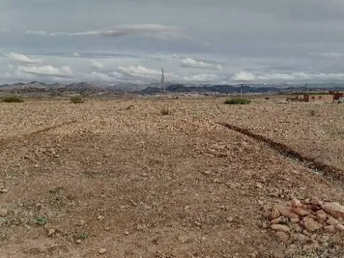 Vente Terrain Tlemcen Sidi medjahed
