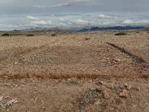 Vente Terrain Tlemcen Sidi medjahed