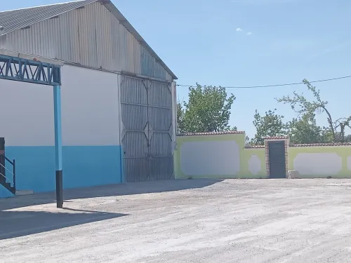 Location Hangar Setif Mezloug