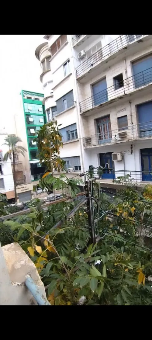 Location Appartement F2 Alger Alger centre