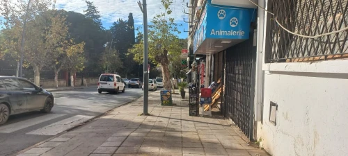 Vente Local Alger El biar
