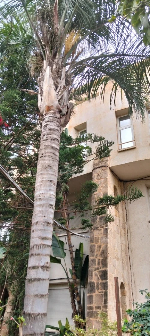 Vente Villa Alger Zeralda
