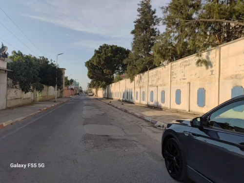 Vente Hangar Blida Blida