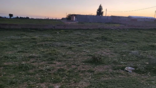 Vente Terrain Sétif Ain arnat