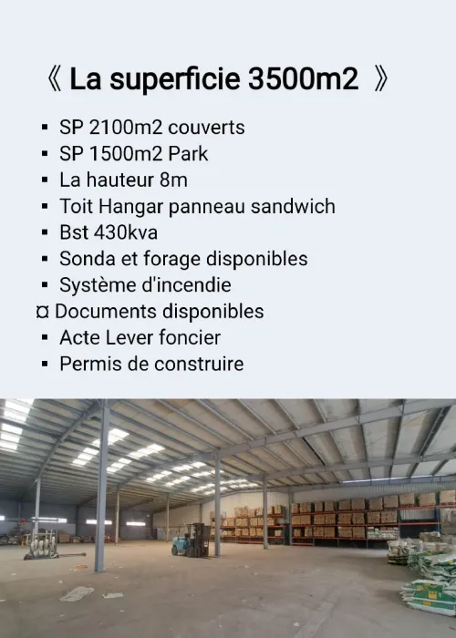 Location Hangar - Usine Alger Baraki