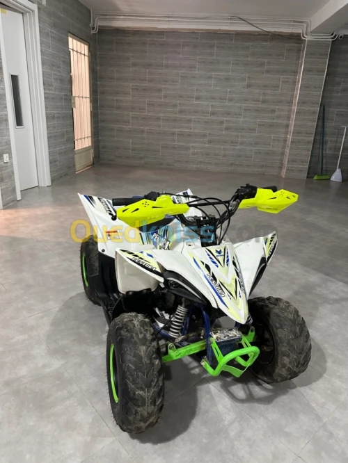 Vms Pentora vms 110cc 2021
