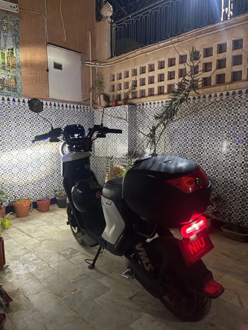 Niu mimo sport 2024