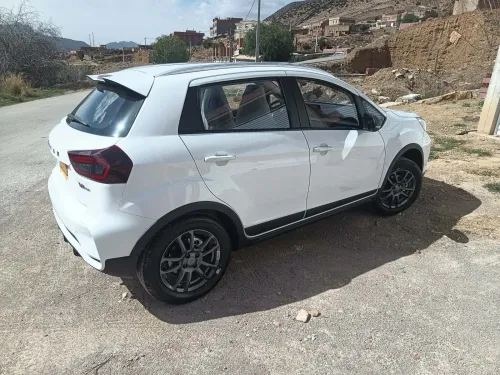Geely tout option 2025 