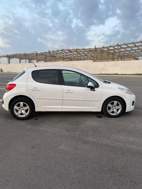 Peugeot 207 2012 Fennec
