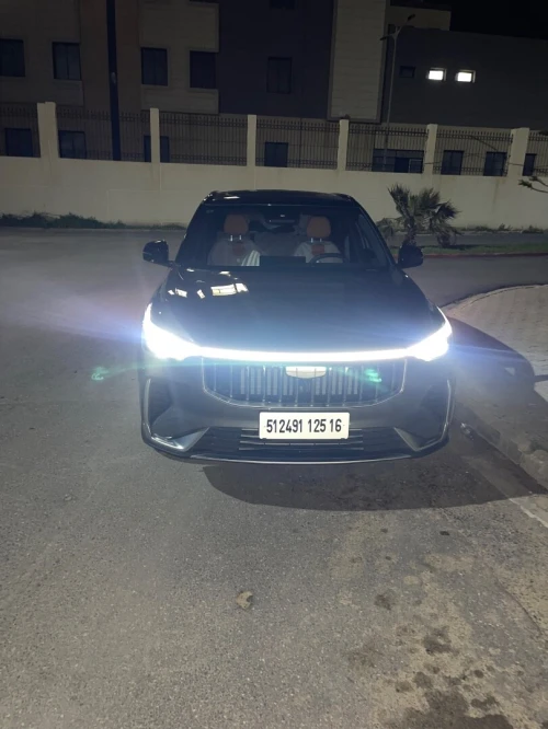 Geely boyue 2025 edition love