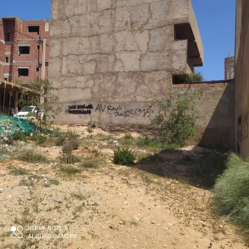 Vente Terrain Mostaganem Sayada