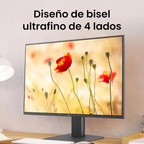 BenQ GW2491 Monitor 24" FHD 100Hz IPS