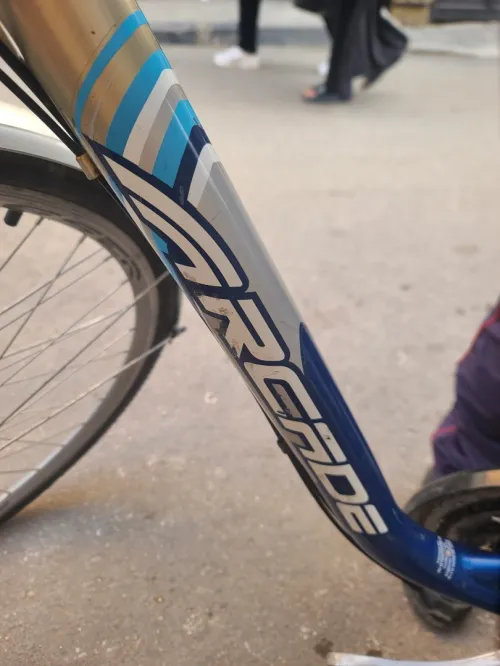 Velo Arcade