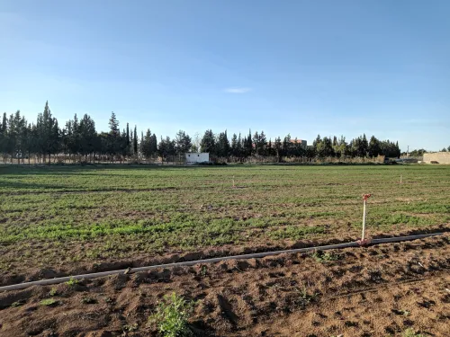 Vente Terrain Setif Guidjel