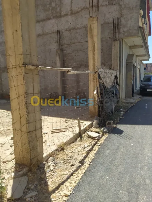 Vente Terrain Blida Chebli