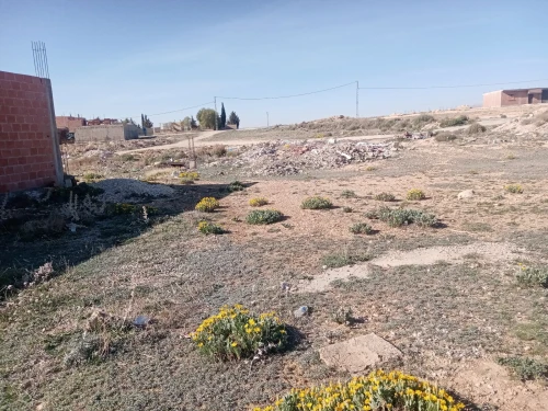 Vente Terrain Khenchela El mahmal