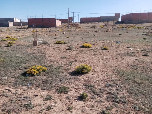 Vente Terrain Khenchela El mahmal