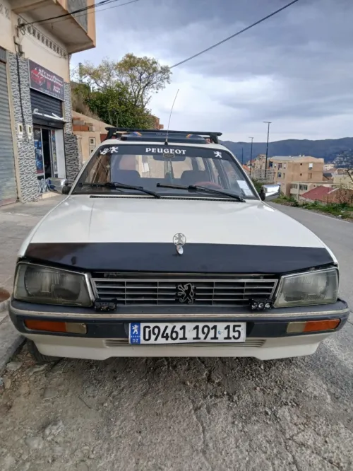 Peugeot 505 1991 GLD