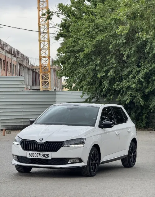 Skoda Fabia 2020 Monte Carlo