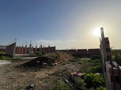 Vente Terrain Blida Meftah