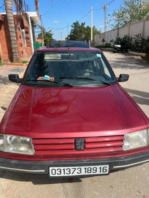 Peugeot 309 1989 309