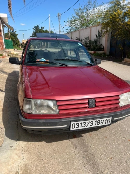Peugeot 309 1989 309