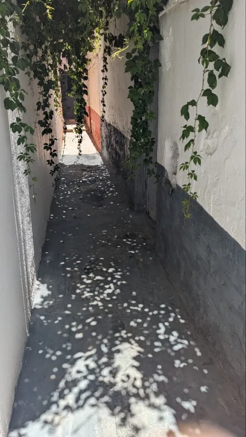 Vente Sidi Bel Abbès Sidi bel abbes